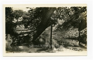 Image description is not available for PHO-264-535